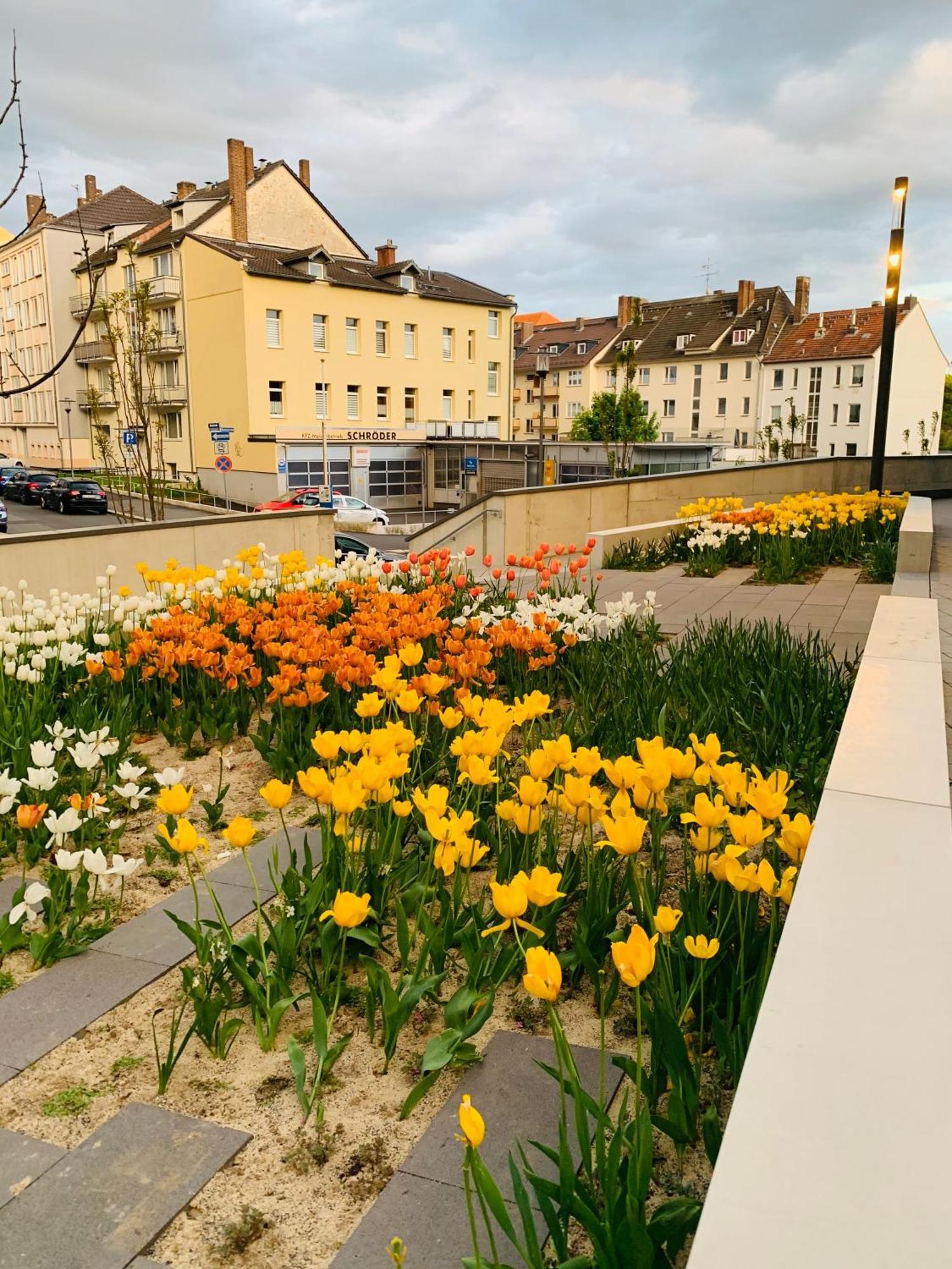 Stadtwohnung Mit Garten Kassel Exterior photo